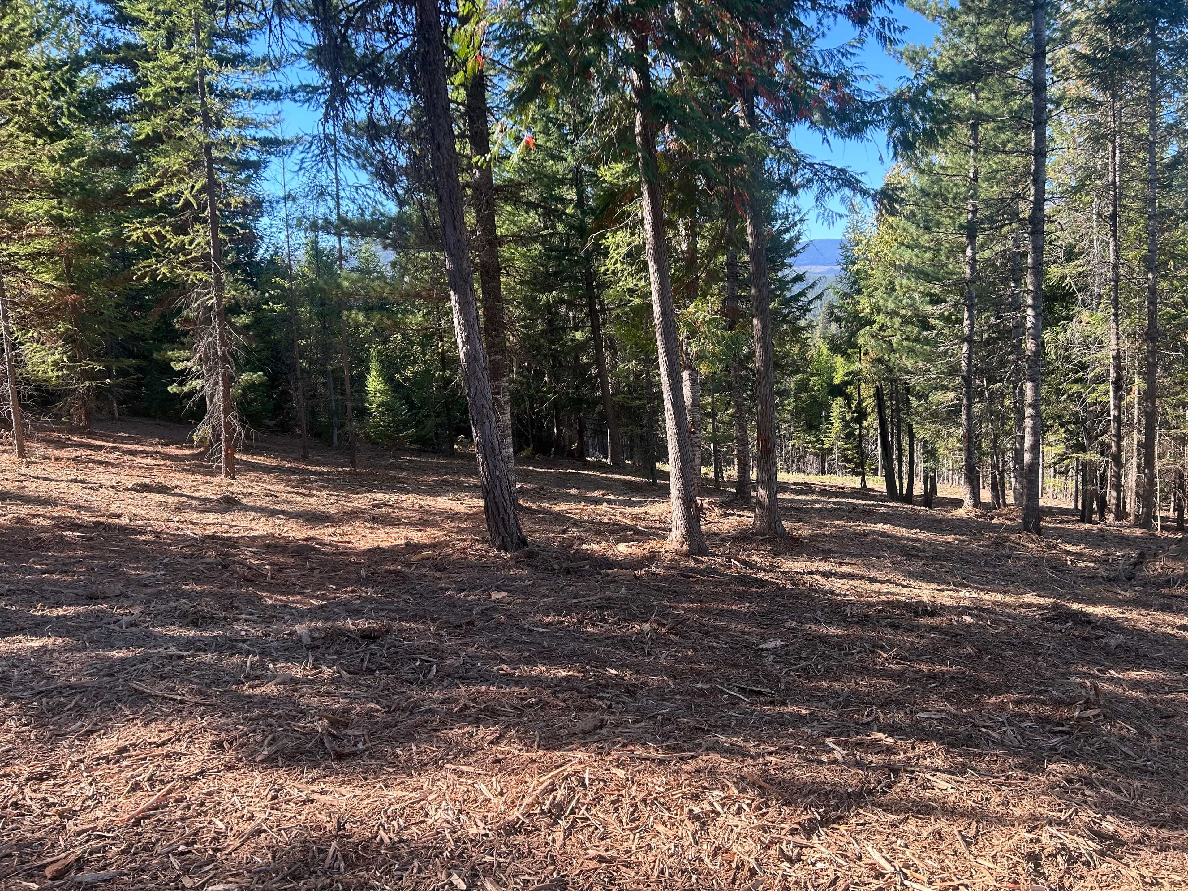 Hero image for Boundary Mulching & Excavation